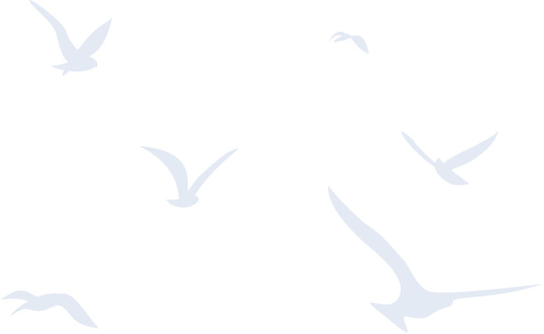 Background Bird Figure